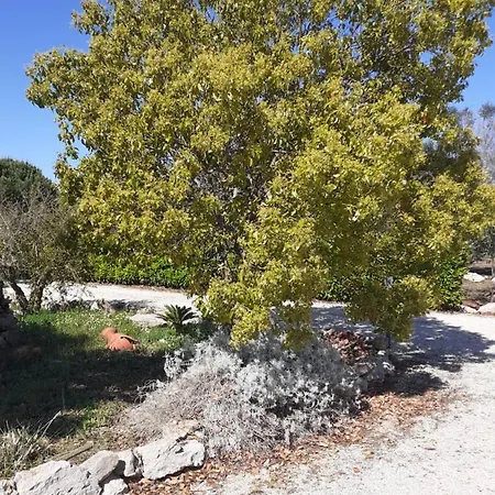 Casale Contenti