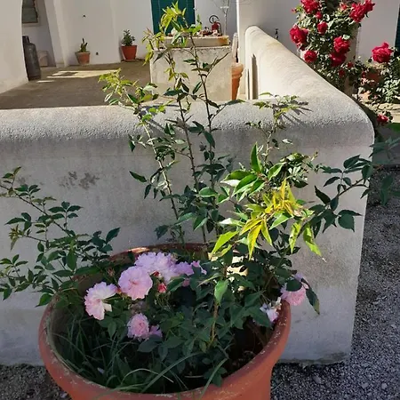 Casale Contenti * מורו לצ'זה